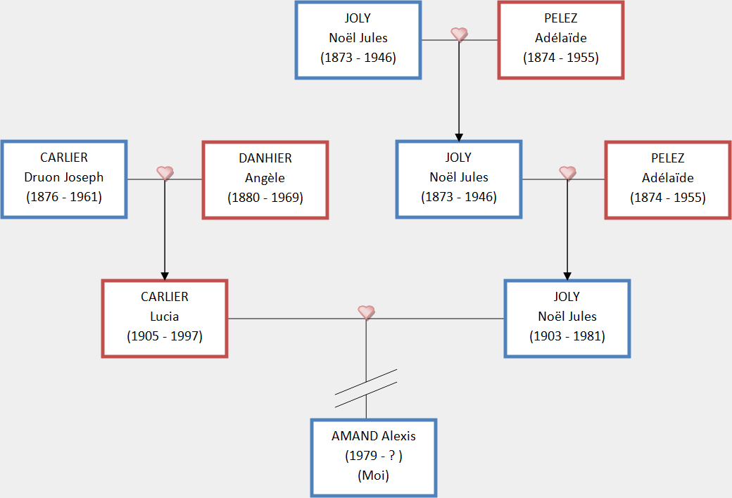 Arbre généalogique simplifié de la famille JOLY
